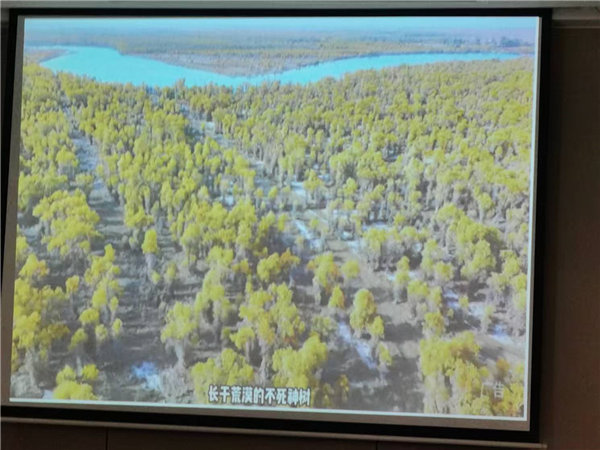 “金色胡楊 南疆盛景”秋攝漫旅行空調(diào)專(zhuān)列13日游